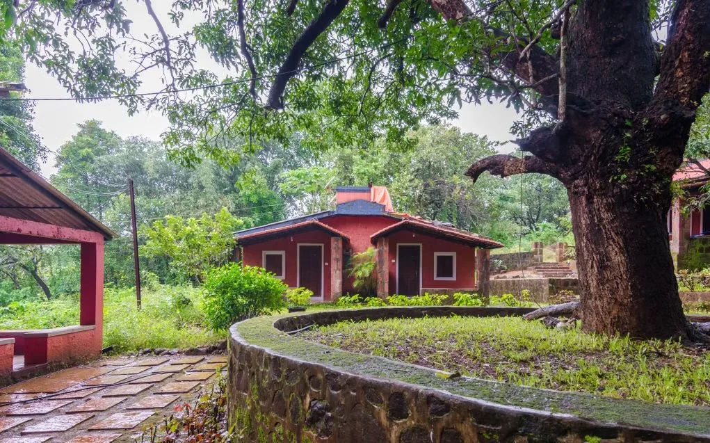 Cottages nestled in the forest grove
