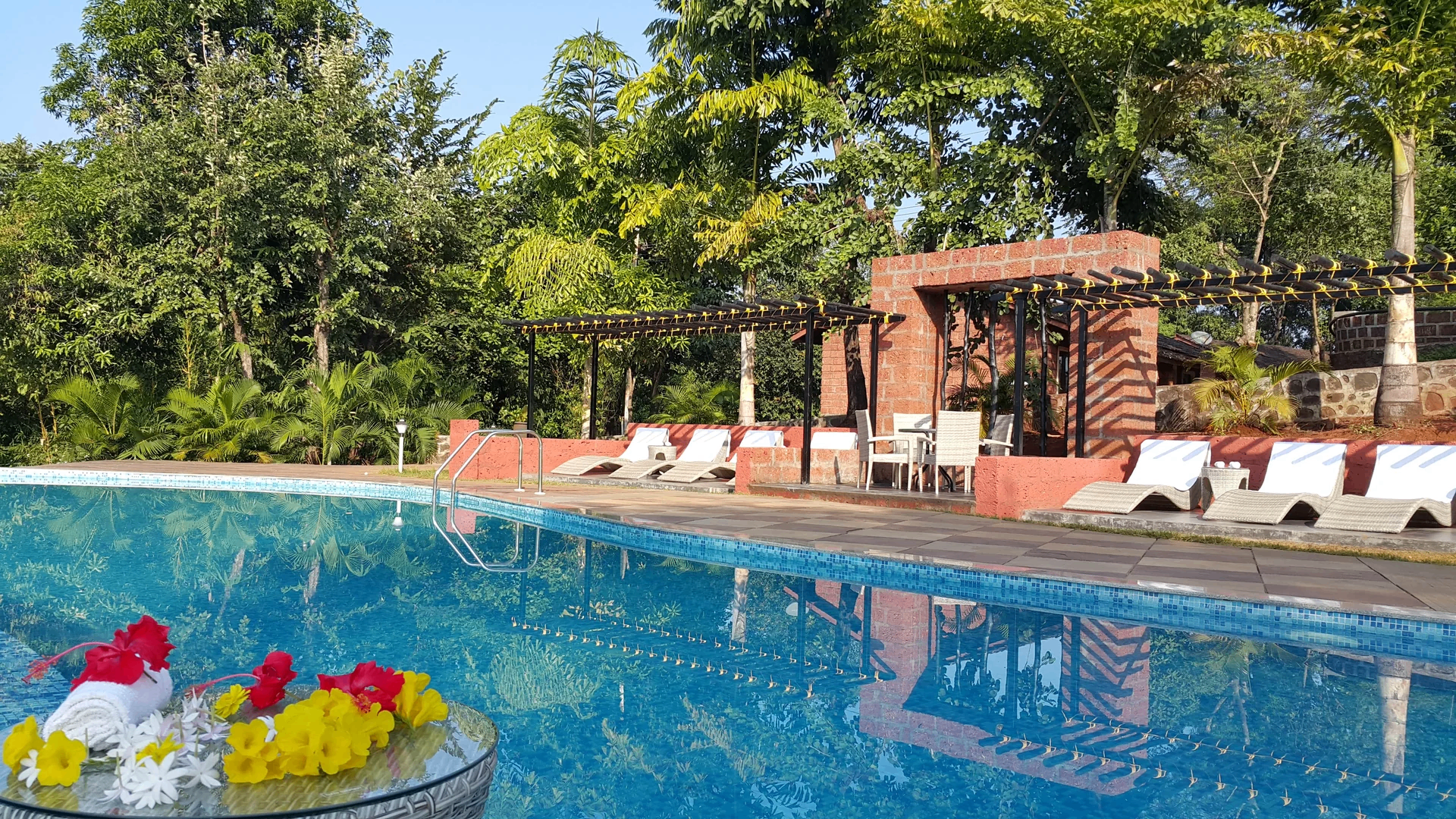 Poolside deck with loungers